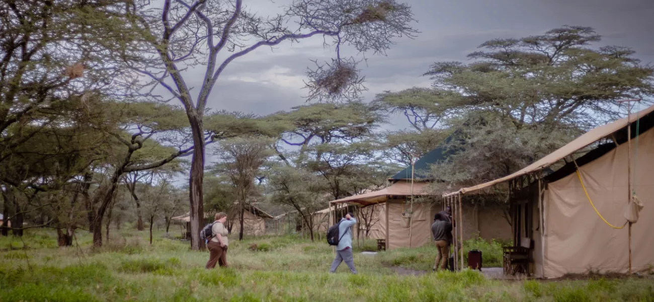 Photo of Acacia Migration Camp in northern-tanzania