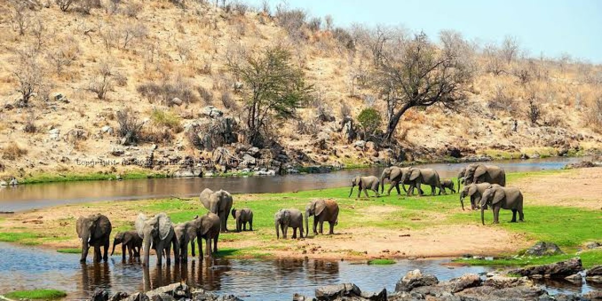 Ruaha National Park