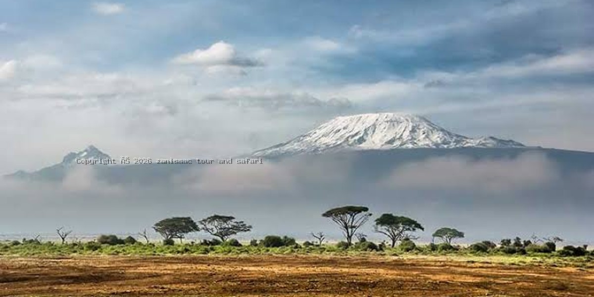 Mount Kilimanjaro National Park