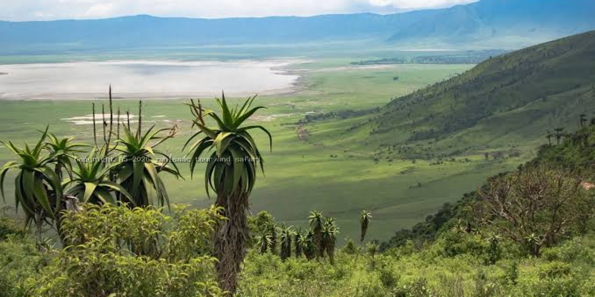 Ngorongoro Crater