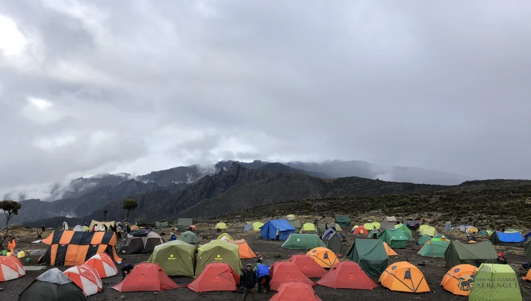 Day 1 image